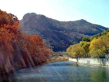 新澳天天开奖资料大全旅游团，佛山至山东物流